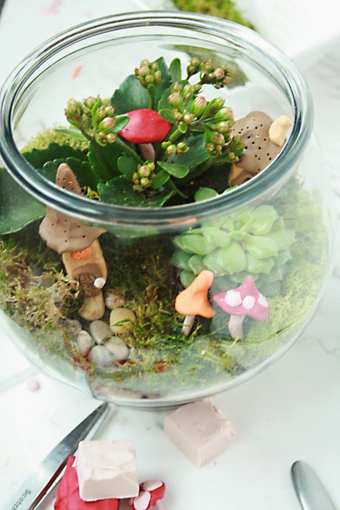irish terrarium for st. patricks day decoration or leprechaun trap