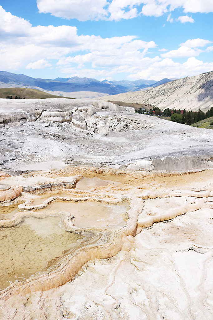 yellowstone-mammoth-area