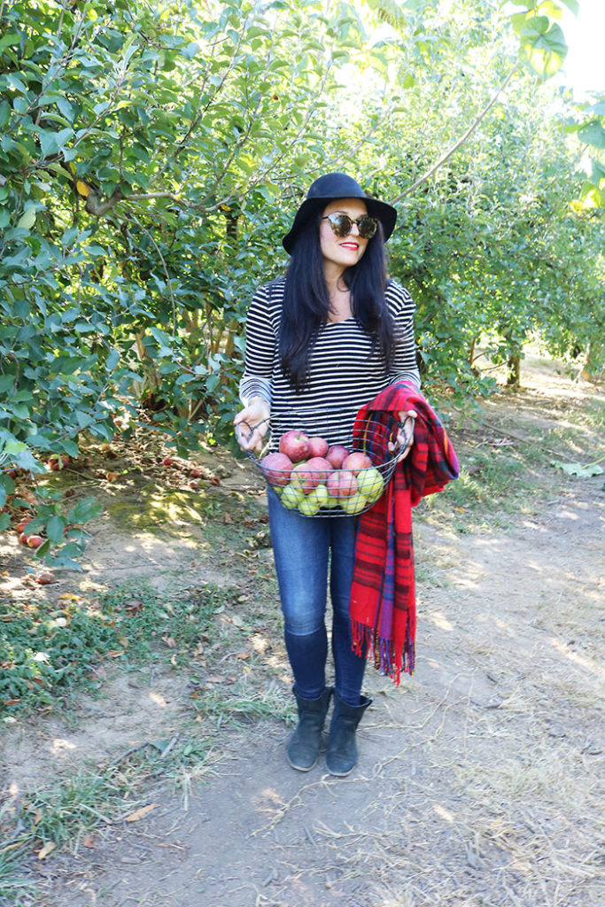 fall-to-do-list-apple-picking-with-basket, apple picking outfit, fall activities apple picking, what to wear to the apple orchard, fall outfit with hat and booties