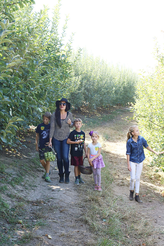 fall-to-do-list-apple-picking-with-kids