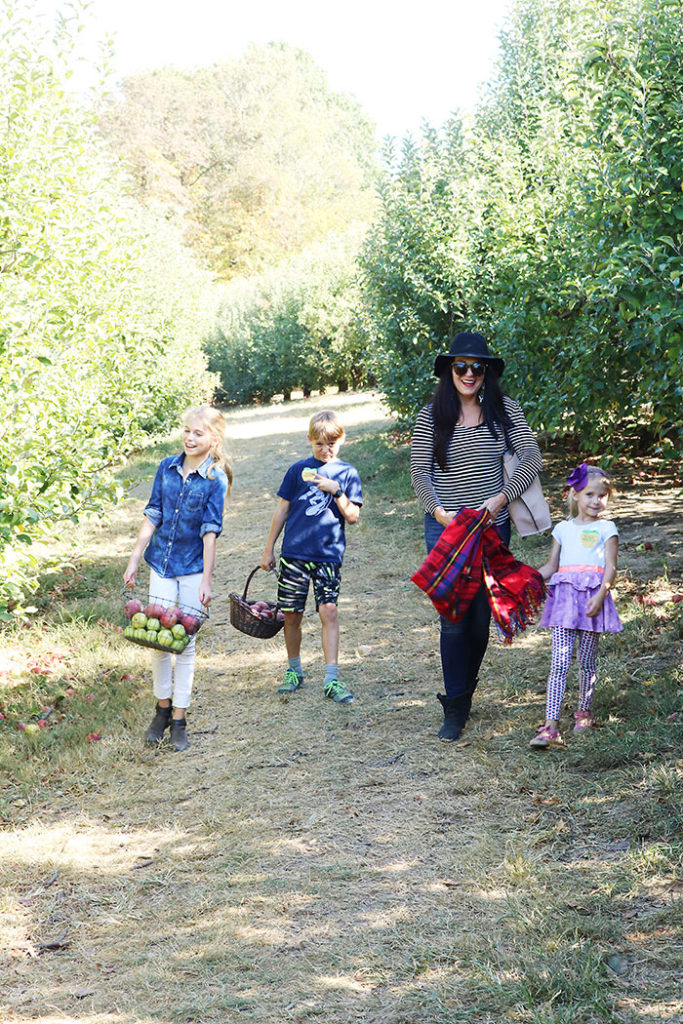 fall-to-do-list-apples, fall apple picking with kids, what to wear to the apple orchard apple picking, fall activities, things to do in fall, fall to do list