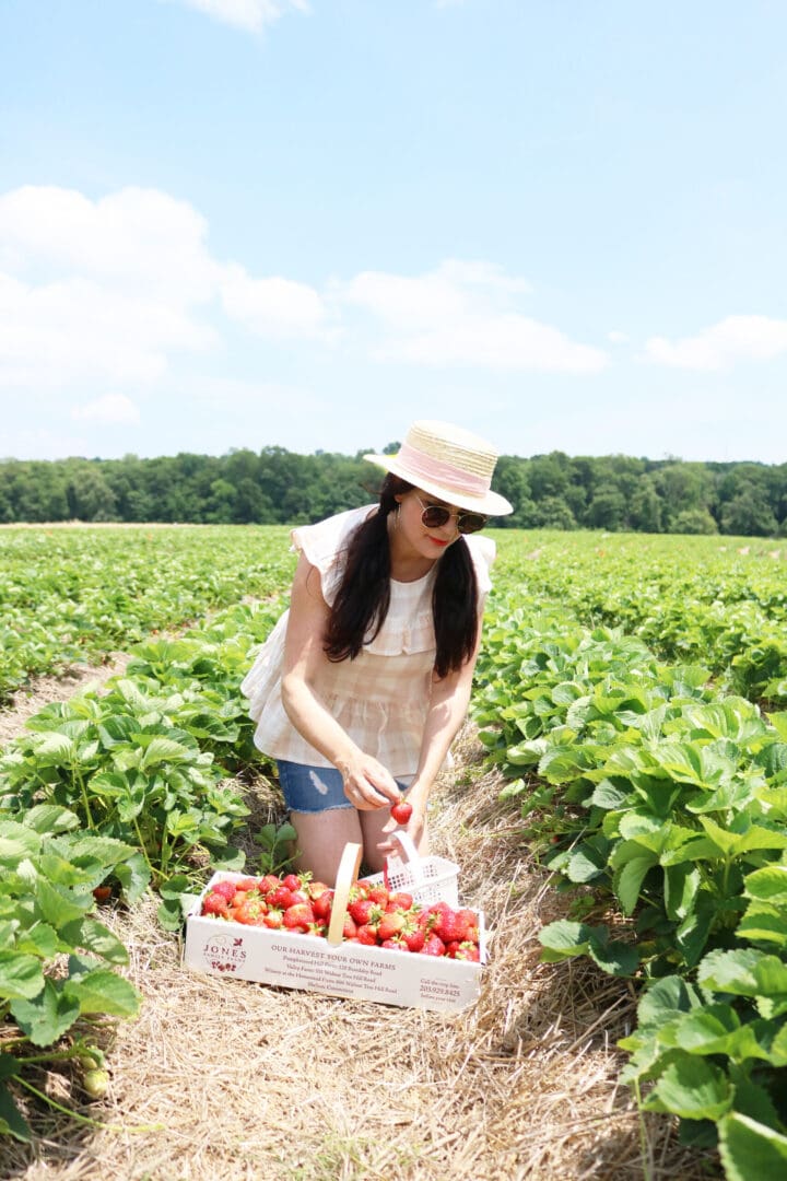 Strawberry Fields Forever, Annual Strawberry picking trip, summer fruit picking, Jones family Farm, New England life, What to wear when strawberry picking || Darleen Meier Top CT Lifestyle Blogger #darleenmeier #strawberryfields