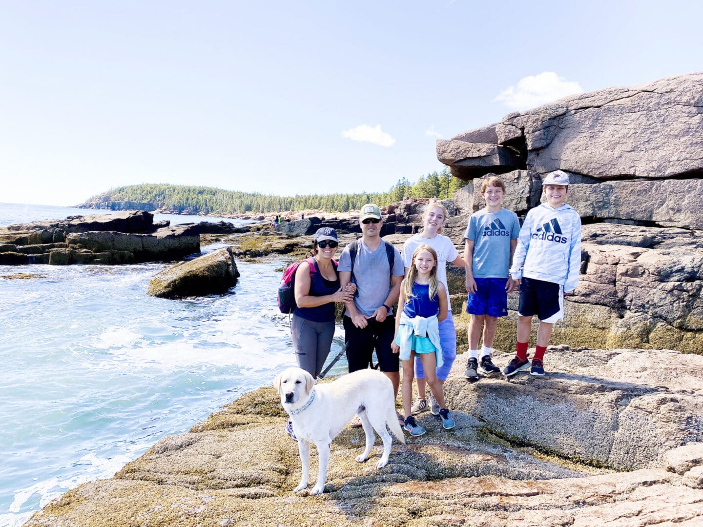 Hiking Acadia National Park with Kids and Dogs, What to do in Acadia National Park with Kids || DarlingDarleen.com Top Lifestyle CT Blogger Darling Darleen #acadia #acadianationalpark