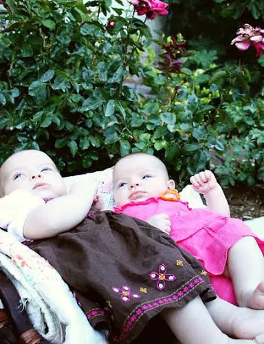 Babies in a Basket