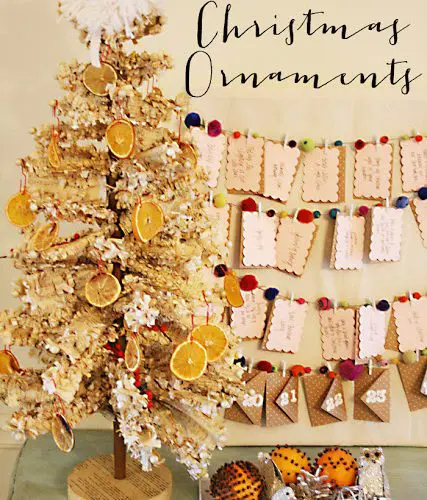 Citrus Christmas Ornaments