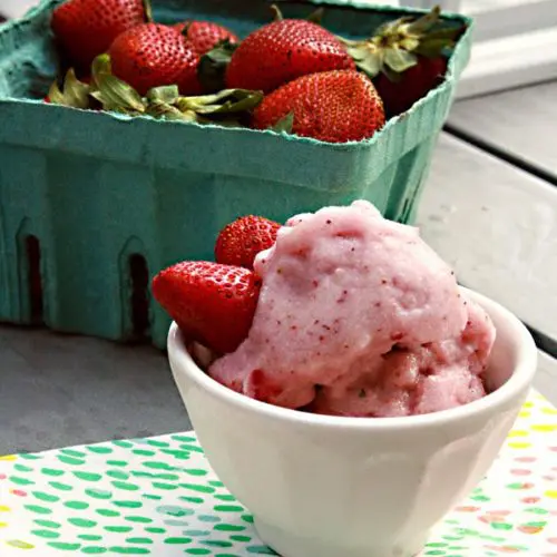 Healthy Strawberry Ice Cream–Sugar Free, Diary Free, Gluten Free