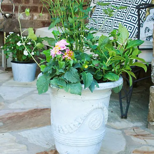 Updating Your Planting Pots