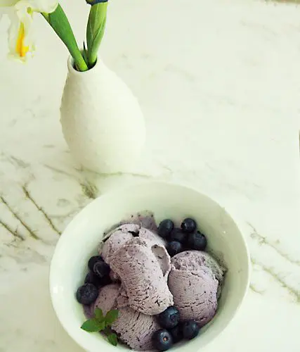 Homemade Blueberry Gelato