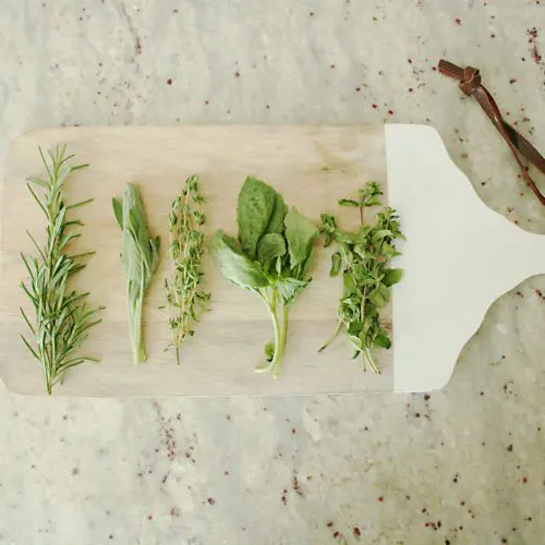 Preserving Herbs