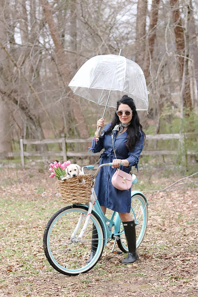 DIY bike basket with old basket and leather belt, diy bike basket, simple, wicker basket, chambray dress, umbrella, hunter boots, puppy in bike basket, dog and bike, spring pictures of puppy love, white labrador, yellow labrador