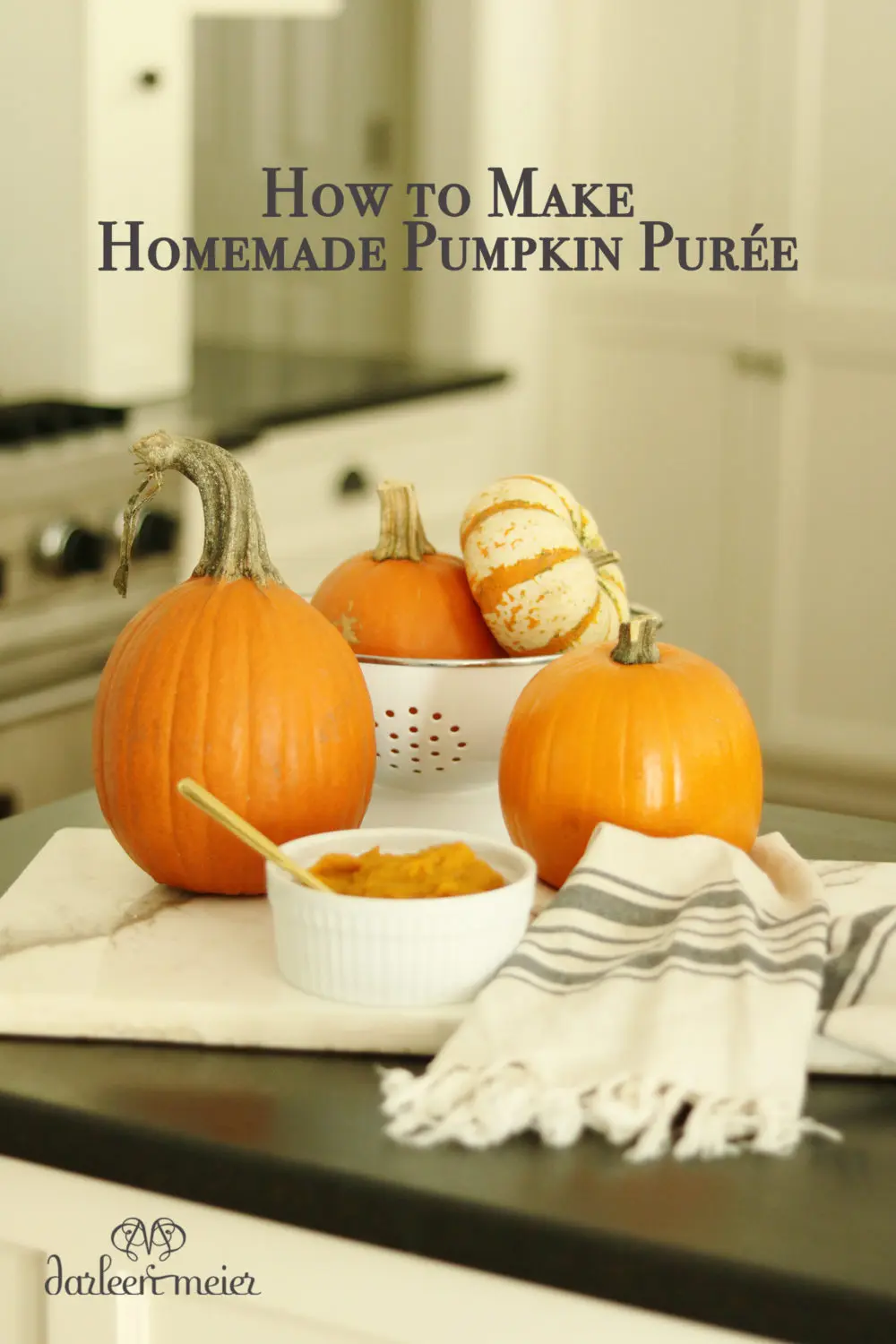 pumpkin puree with pumpkins with words - Darling Darleen | A Lifestyle ...