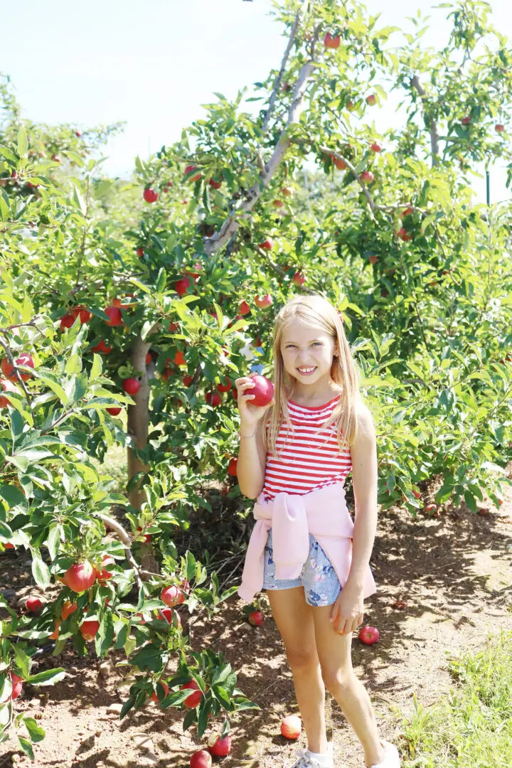 Apple Picking Season--What to wear and what apples to pick whether you are baking, cooking, canning or just eating. || DarlingDarleen.com Top CT Lifestyle Blogger