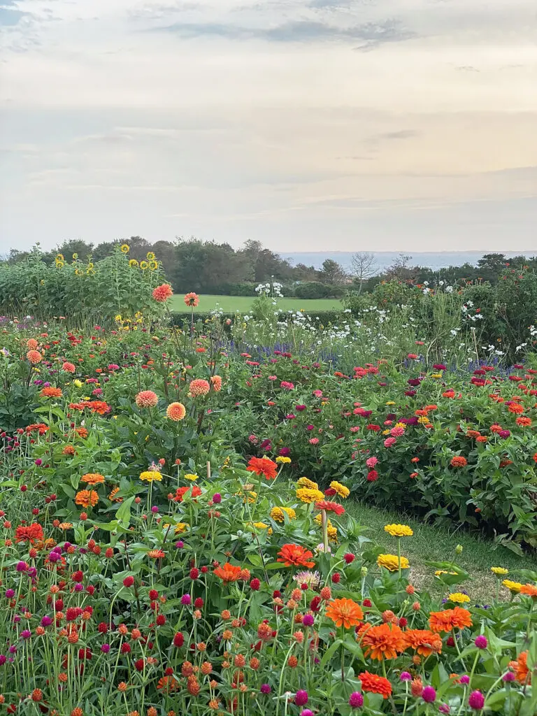 Best locations and instagrammable spots to visit Connecticut flower fields for both spring and summer season. || Darling Darleen Top CT Lifestyle Blogger #darlingdarleen #ctflowerfields