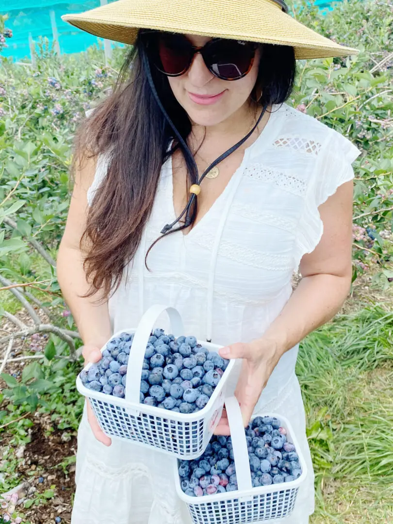 Blueberry Picking with Guiltless Blueberry Cobbler Recipe || Darling Darleen CT Top Lifestyle Blogger #blueberrypicking #blueberrycobbler