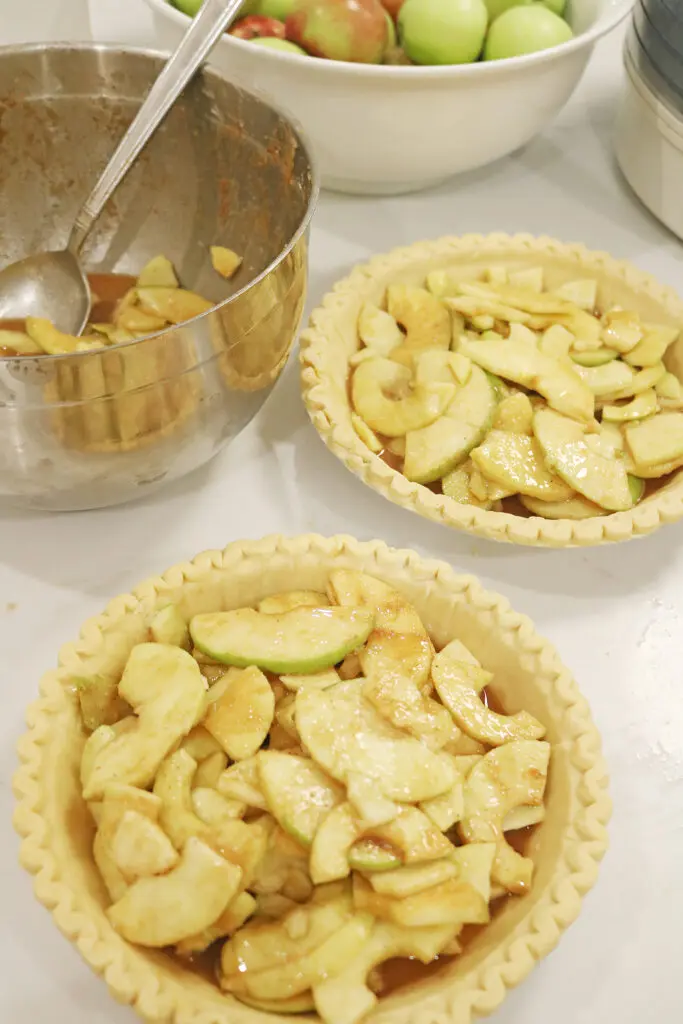Best Apple Pie Recipe with a sweet cinnamon taste and perfect for your Thanksgiving feast while also pairing well with pumpkin pie. || Darling Darleen Top CT Lifestyle Blogger