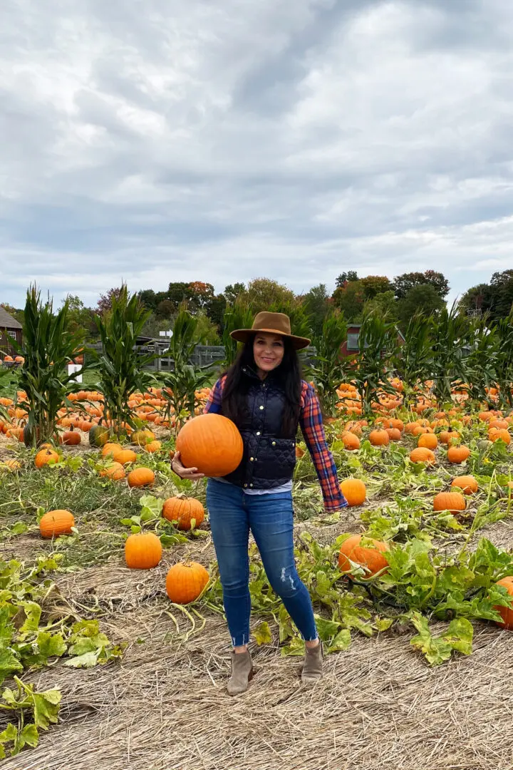 Your Guide to the Best Fall Activities Near Fairfield County, Connecticut in the month of October from pumpkin patches to haunted houses! Person holding a pumpkin in a pumpkin patch, wearing a plaid shirt, blue vest, jeans, and a hat. Green corn plants and cloudy sky in the background.