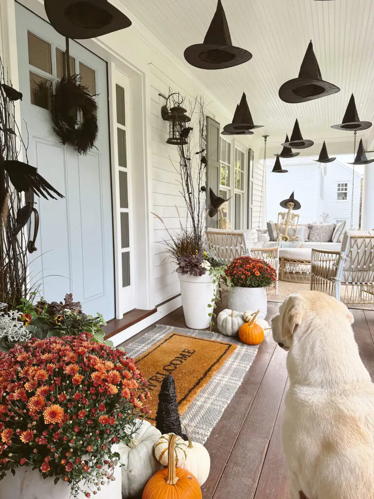 Transform Your Home into a Witch’s Haven! A porch decorated for Halloween with witch hats hanging from the ceiling, autumn plants, pumpkins, and a "Welcome" mat. A dog is seen sitting and looking towards the decorations.