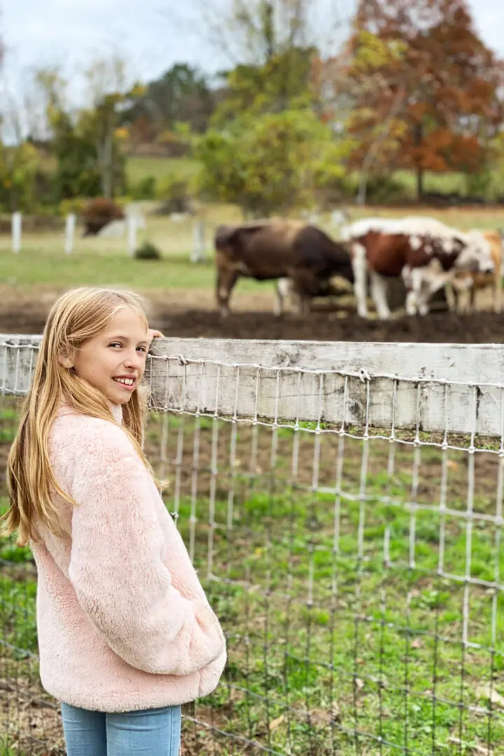 Your Guide to the Best Fall Activities Near Fairfield County, Connecticut in the month of October from pumpkin patches to haunted houses! A girl in a pink coat stands by a fence, looking at cows in a field. Trees and a cloudy sky are in the background.