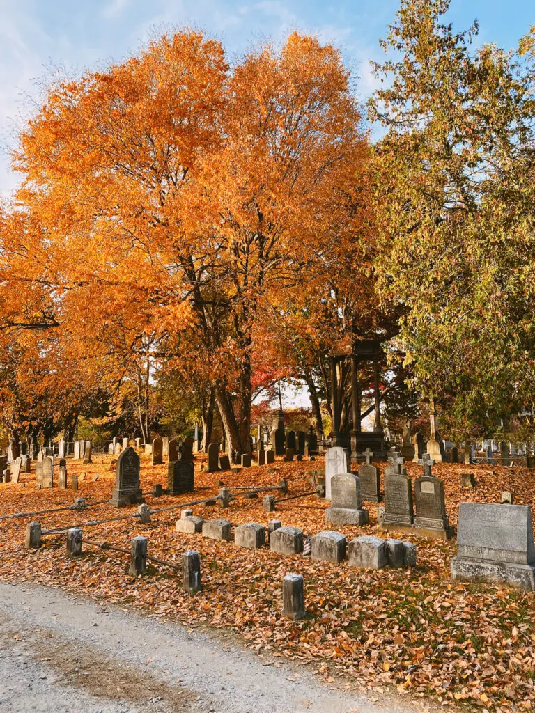 Your Guide to the Best Fall Activities Near Fairfield County, Connecticut in the month of October from pumpkin patches to haunted houses! A cemetery with numerous headstones scattered among vibrant orange autumn trees, surrounded by fallen leaves under a clear blue sky.