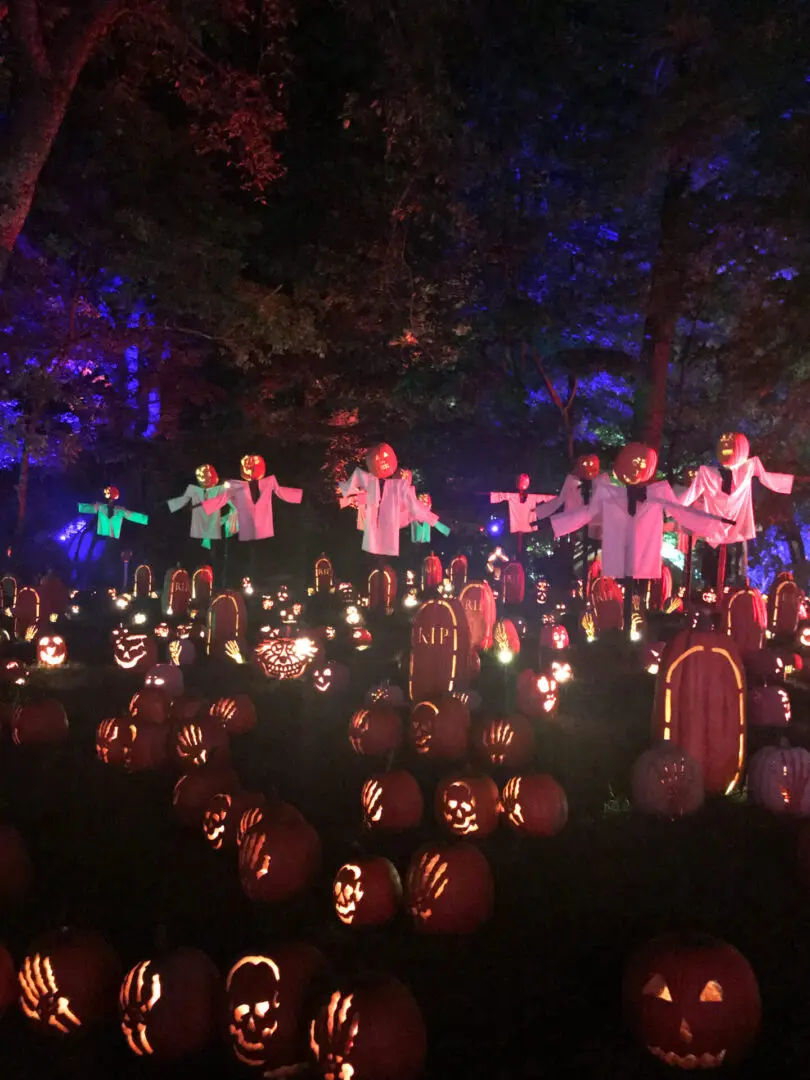 Your Guide to the Best Fall Activities Near Fairfield County, Connecticut in the month of October from pumpkin patches to haunted houses! A nighttime display of carved pumpkins and scarecrows with glowing heads in a wooded area, illuminated by various colored lights.