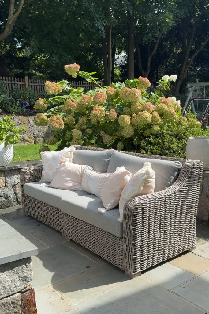 The simple tasks of how to clean outdoor cushions requires just a little elbow grease and a sunny afternoon and you can have your outdoor cushions looking new Wicker outdoor sofa with pale cushions on a stone patio, set beside blooming hydrangea bushes and a garden area with trees and a fence in the background.