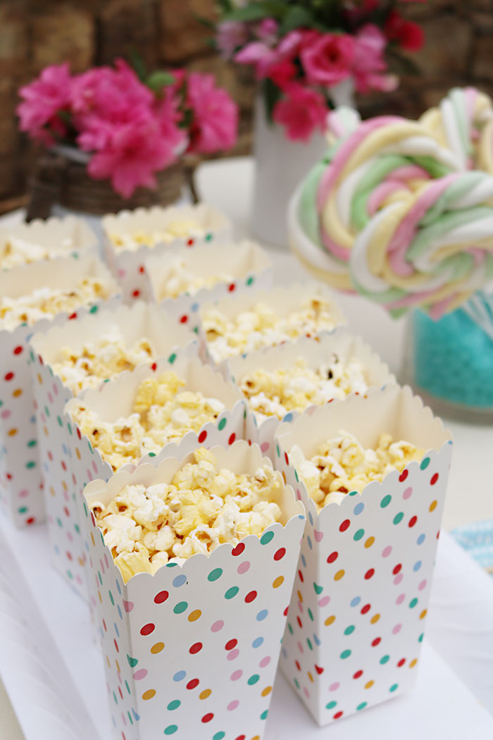 Boho Birthday Outdoor Movie Night - Darling Darleen | A Lifestyle ...