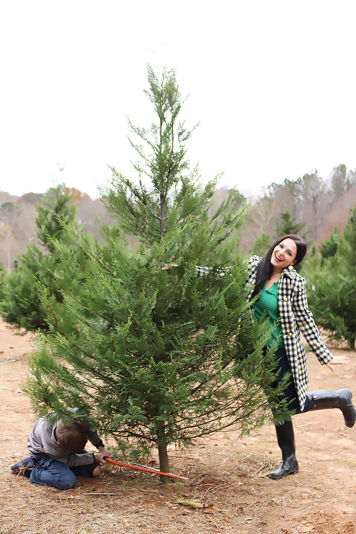 Cutting Our Christmas Tree Darling Darleen A Lifestyle Design Blog