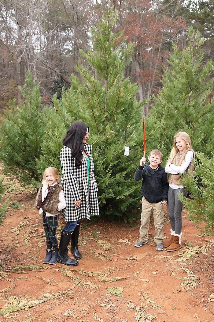 Cutting Our Christmas Tree - Darling Darleen | A Lifestyle Design Blog