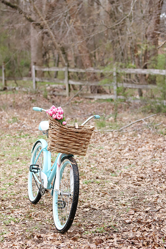 DIY Bike Basket Darleen Meier Jewelry