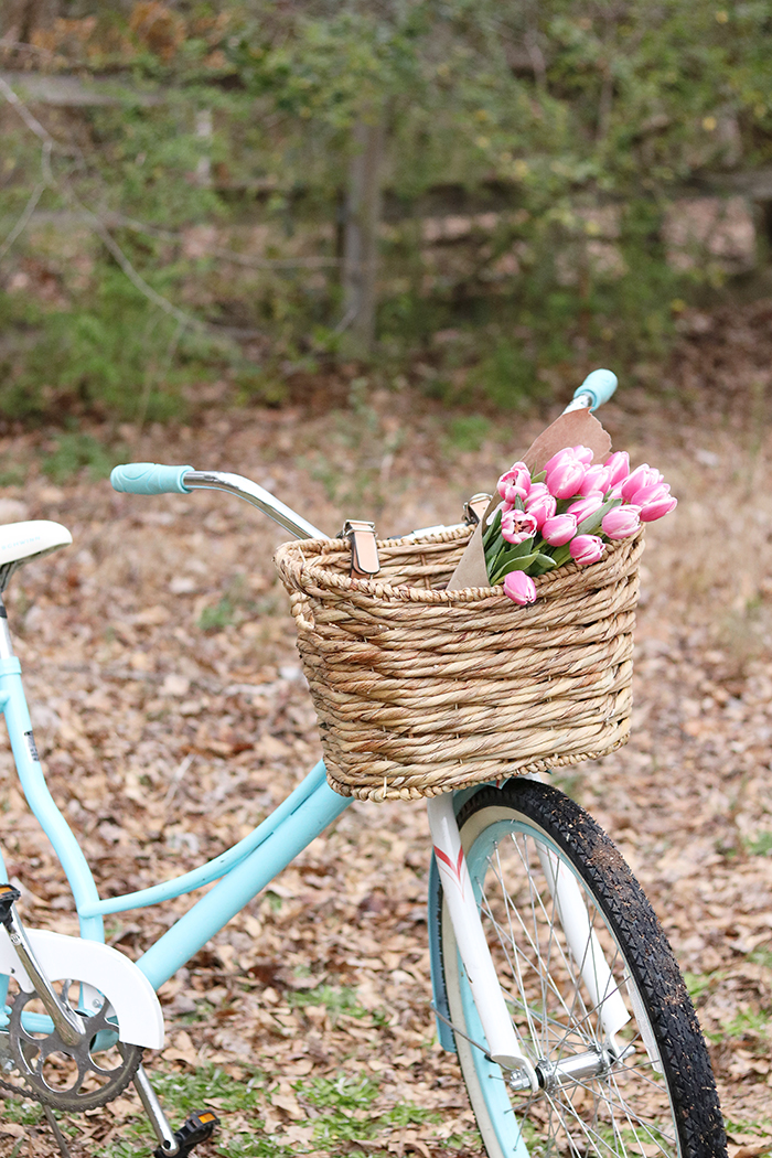 DIY Bike Basket - Darling Darleen | A Lifestyle Design Blog
