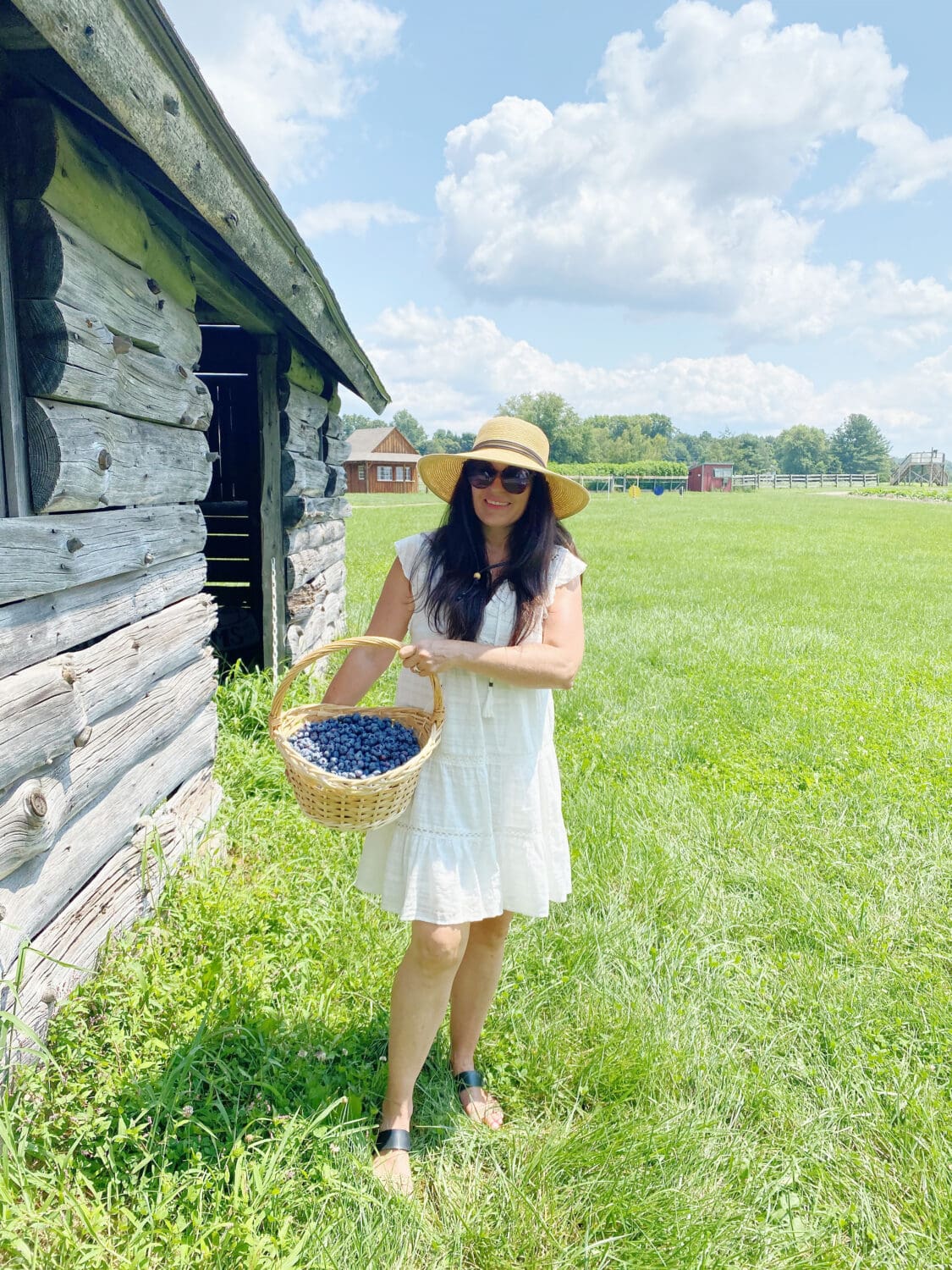 Blueberry Picking with Recipe - Darling Darleen | A Lifestyle Design Blog