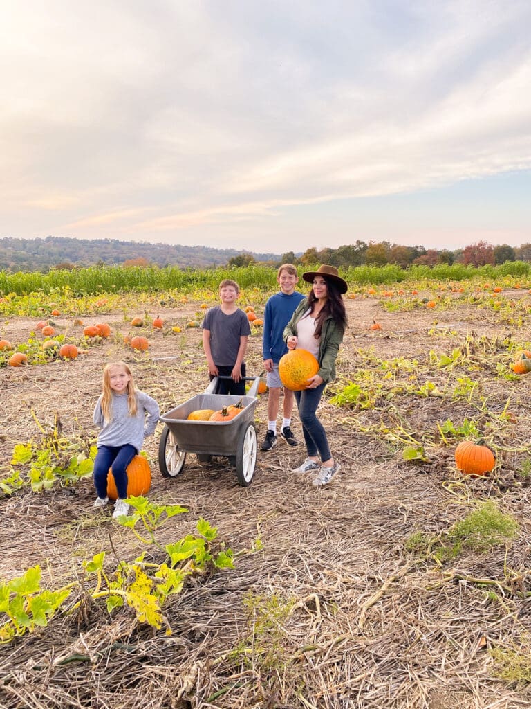 Your Guide to the Best Fall Activities Near Fairfield County, Connecticut in the month of October from pumpkin patches to haunted houses! A woman and three children stand in a pumpkin patch. One child sits on a pumpkin, two others stand near a wheelbarrow filled with pumpkins, and the woman holds a large pumpkin.