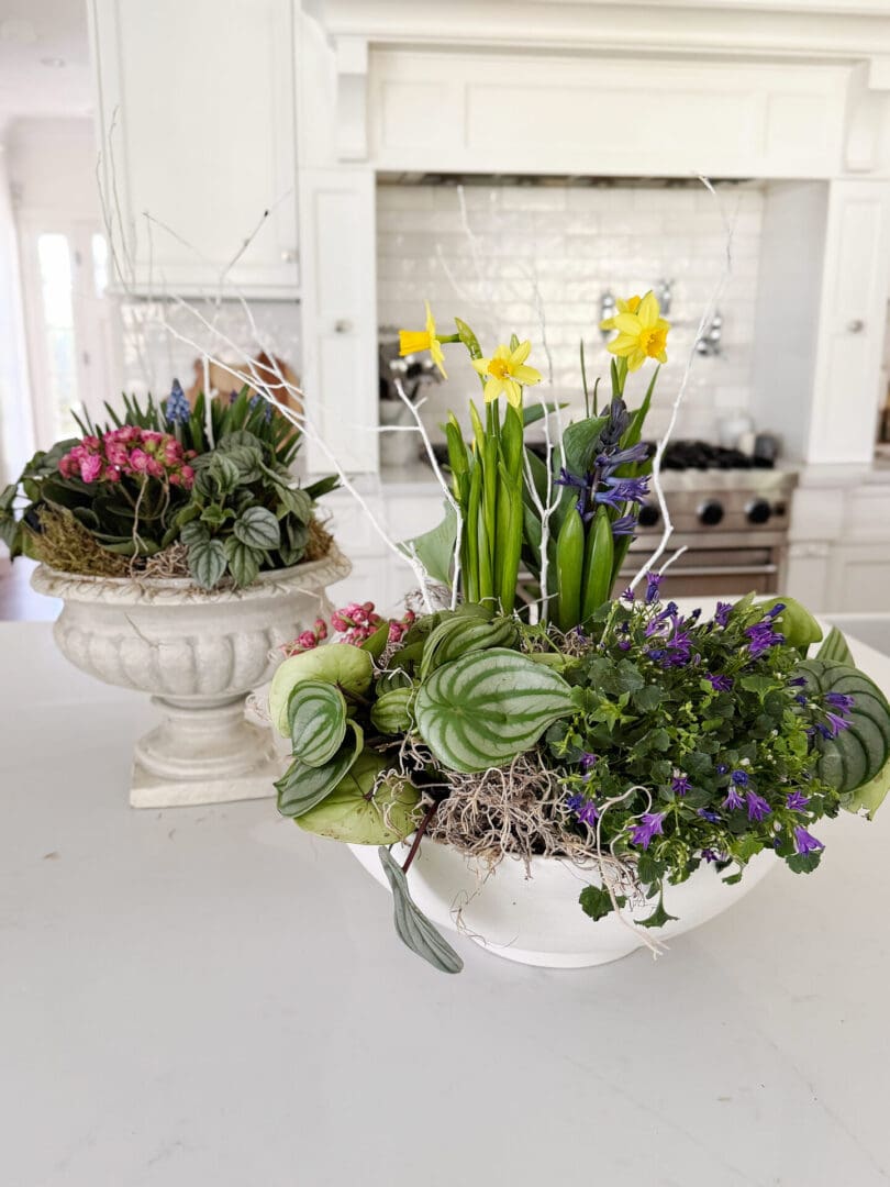 Two decorative planters on a kitchen countertop, featuring a variety of green plants, purple and pink flowers, yellow daffodils, and white branches.